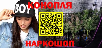 индика Шахты