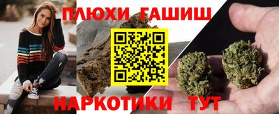 индика Шахты