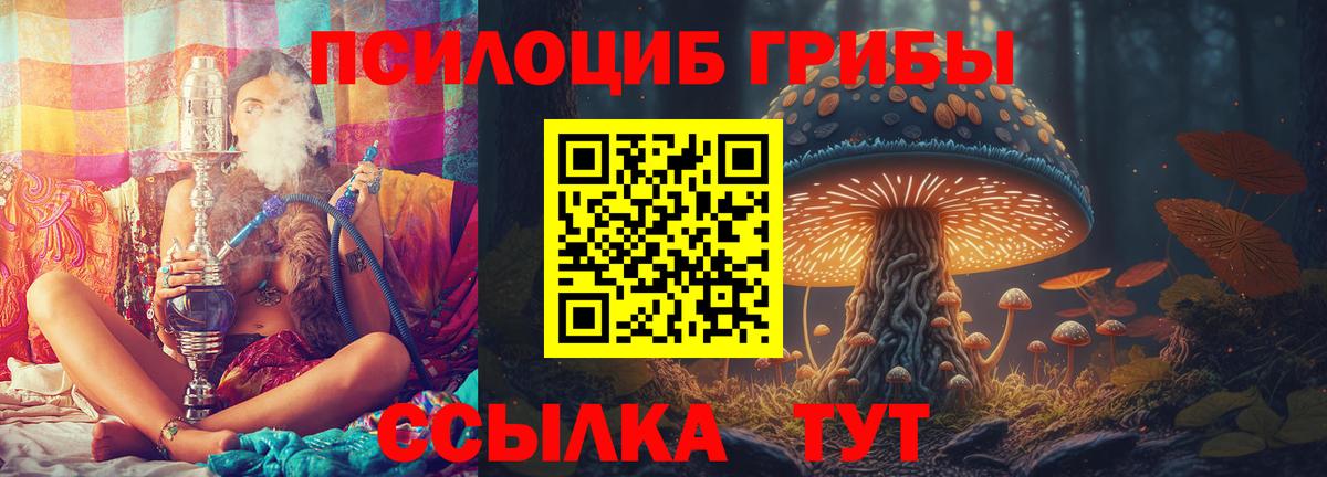 Галлюциногенные грибы Magic Shrooms  Вход с VPN  Псилоцибиновые грибы ЛСД  Будённовск 