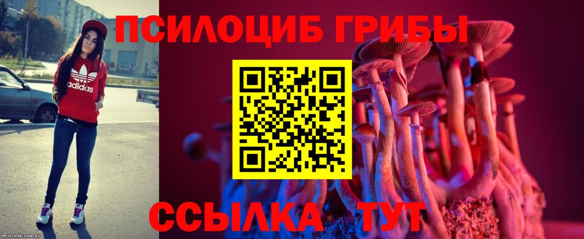 Псилоцибиновые грибы GOLDEN TEACHER Будённовск